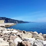 Le Coq Bleu D'azur- Piscine - Parking - Ac -wifi アパート マントン
