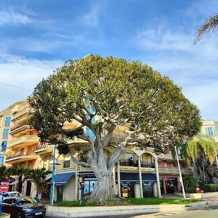 Daire Le Coq Bleu D'azur- Piscine - Parking - Ac -wifi Menton
