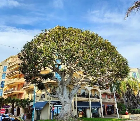 Apartment Le Coq Bleu D'azur- Piscine - Parking - Ac -wifi Menton