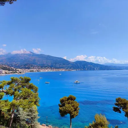 Apartment Le Coq Bleu D'azur- Piscine - Parking - Ac -wifi