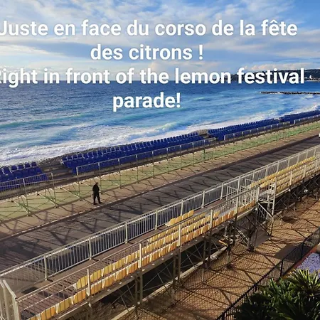 דירה Le Coq Bleu D'azur- Piscine - Parking - Ac -wifi מנטון