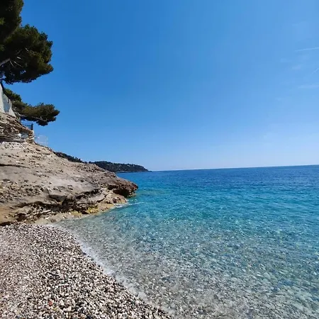 Le Coq Bleu D'azur- Piscine - Parking - Ac -wifi מנטון