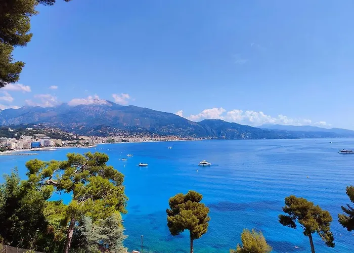 Appartamento Le Coq Bleu D'azur- Piscine - Parking - Ac -wifi