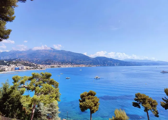 Apartamento Le Coq Bleu D'azur- Piscine - Parking - Ac -wifi Menton